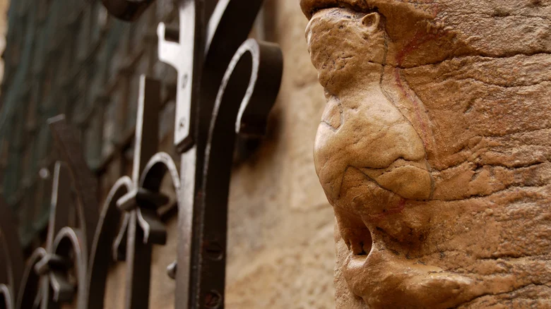 La Chouette de Dijon