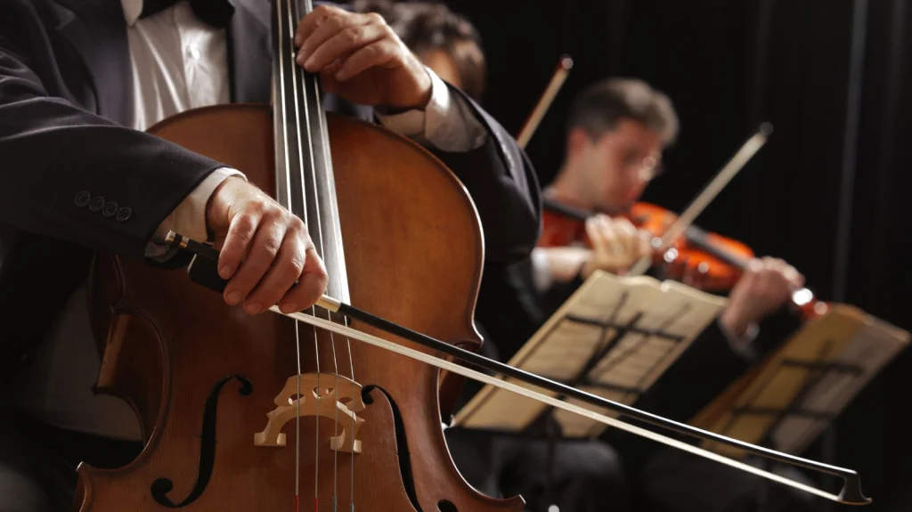 5 Musiciens Classiques Méprisant Leur Œuvre