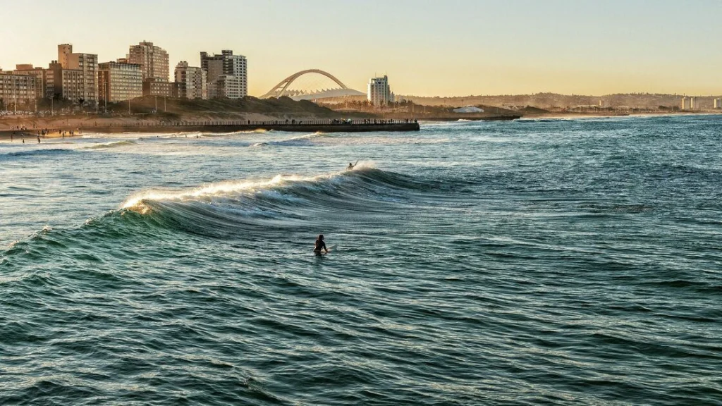 Attaques de requins en Décembre Noir en Afrique du Sud