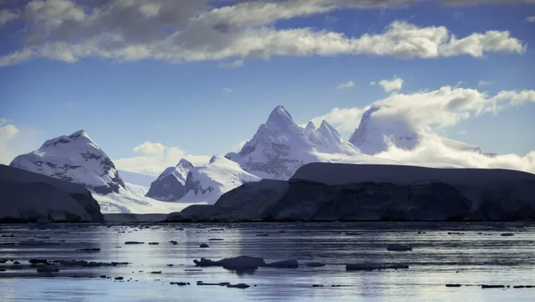Changement climatique rend l&rsquo;Antarctique vert et inquiète