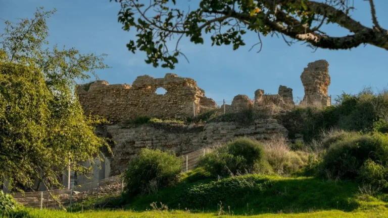 Découverte glaçante d&rsquo;infanticides par un archéologue