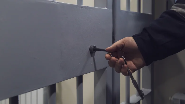 De Harvard à la Prison : Le Chemin de Matthew Muller