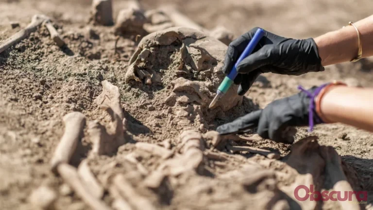 Decouverte incroyable d&rsquo;un squelette humain de 2000 ans en chantier