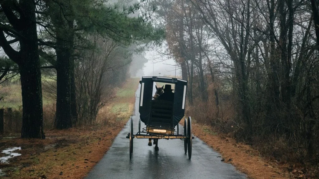 Differences Clés entre Amish et Mennonites selon Histoire