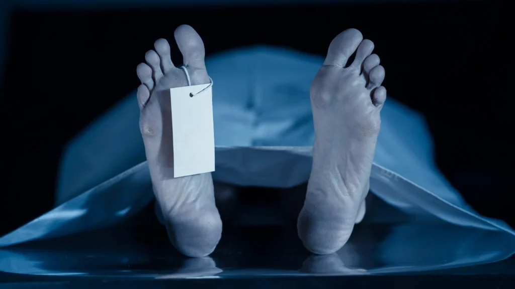 Différence entre Coroners et Médecins Légistes - Comprendre le Rôle