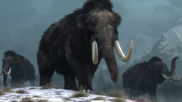 Extinction ou Evolution des Espèces de lÂge Glaciaire Analyse