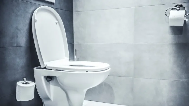 Fin des Crimes de John Wayne Gacy Une Visite aux Toilettes