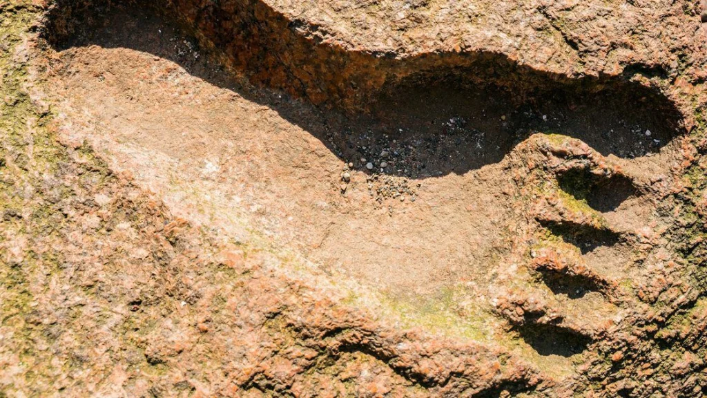 Grover Krantz et la Chasse au Bigfoot avec son Chien Fidèle