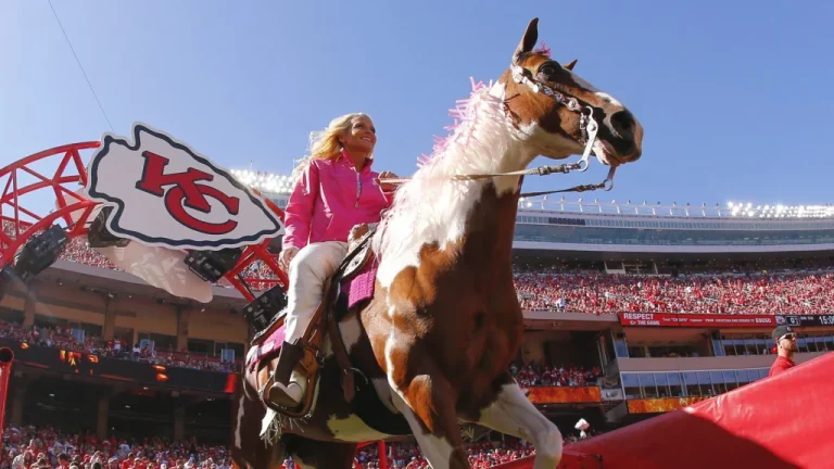 L&rsquo;Histoire de Warpaint, Premier Mascot des Kansas City Chiefs