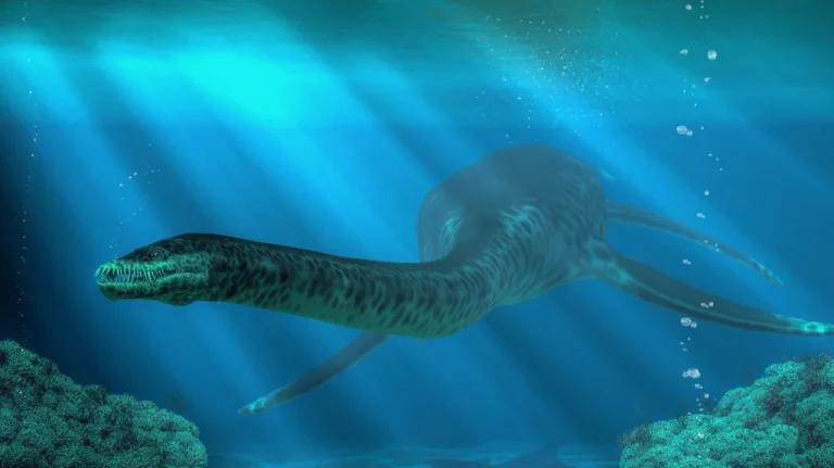La Mer Tethys Histoire de lOcéan de lAncienne Terre