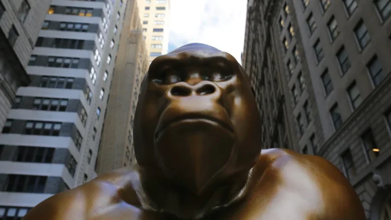 La vérité inédite sur Harambe, le gorille au destin tragique