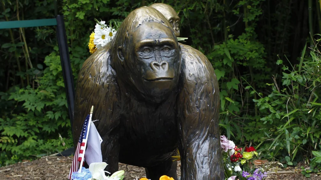Le Destin de Harambe Après Son Décès au Zoo de Cincinnati