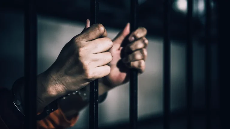 Le Destin du Meurtrier aux Taches de Rousseur après la Prison