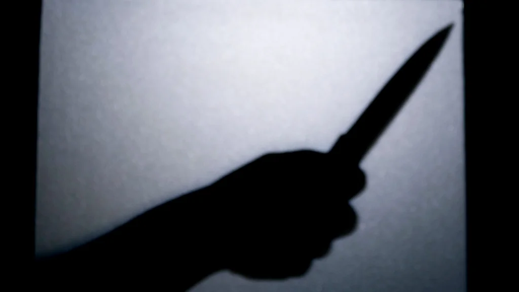 Le meurtre choquant de Nikki Whitehead par ses filles en 2010