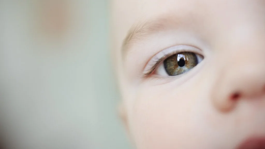 Le nombre d'enfants engendrés par le Dr Jan Karbaat révélé