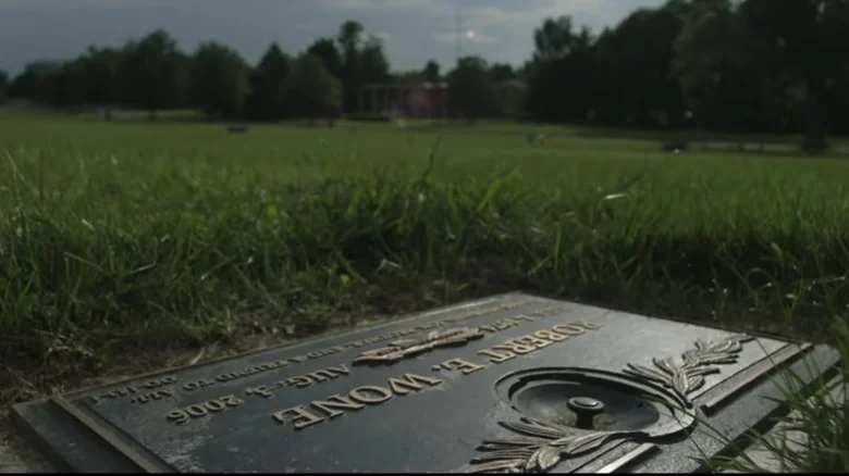 Le parcours de Robert Wone