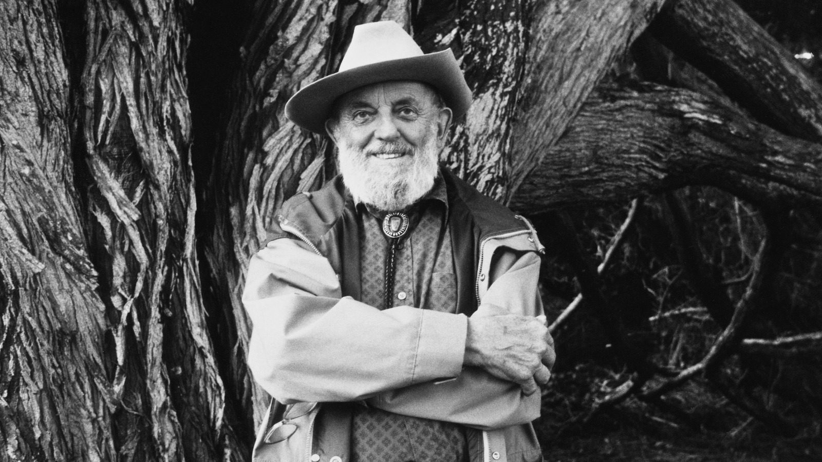 Les Secrets Méconnus d'Ansel Adams, Photographe Légendaire