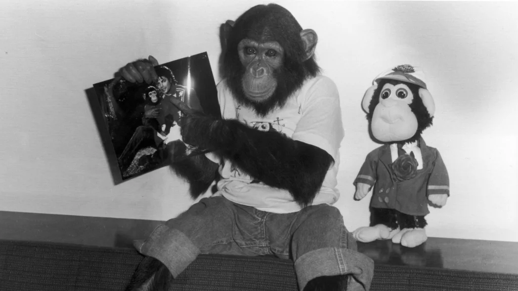 Lieu Actuel de Bubbles, le Chimpanzé de Michael Jackson