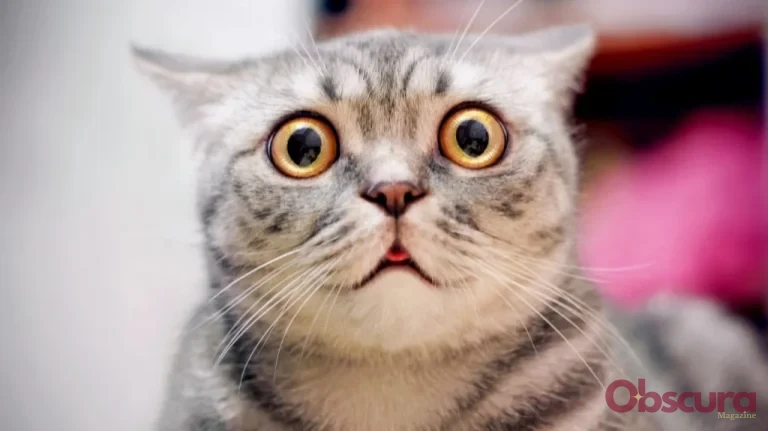 L&rsquo;Épidémie Toxique au Japon Révélée par des Chats Convulsifs