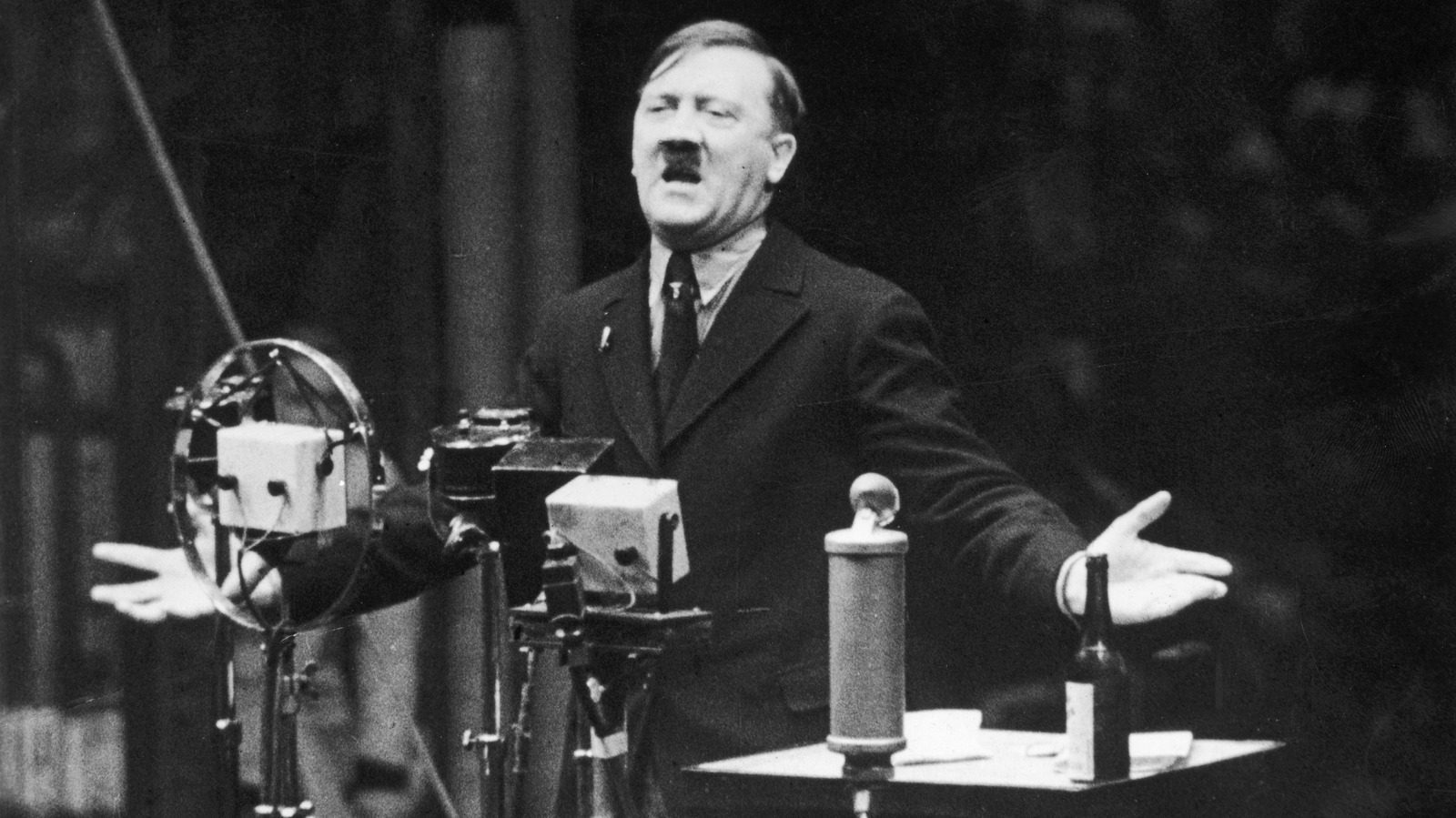 Montée au pouvoir d'Hitler en Allemagne, la vraie histoire