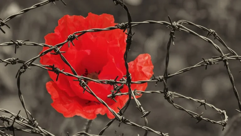 Mythes Populaires sur la Première Guerre Mondiale Démystifiés