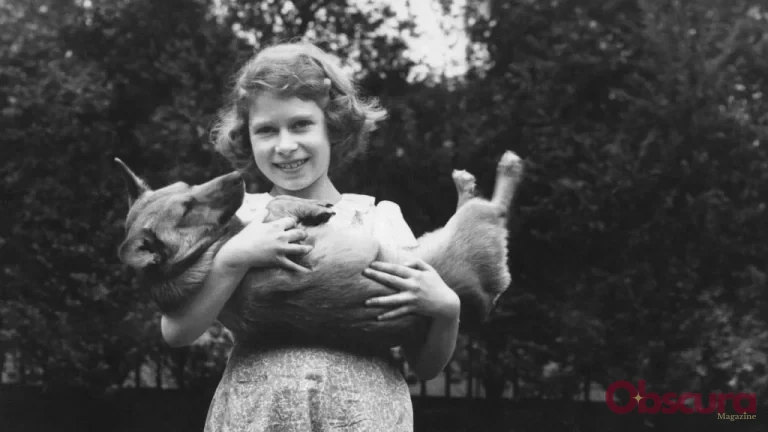 Noël Royal avec les Corgis de la Reine Elizabeth : Une Histoire
