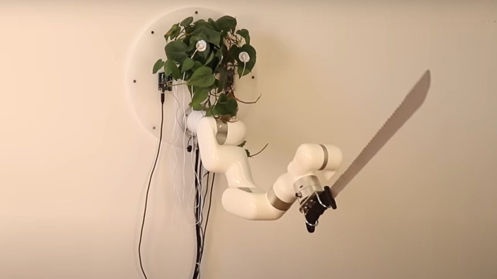 Plante Vivante Capable de Contrôler une Machette : Découverte Incroyable