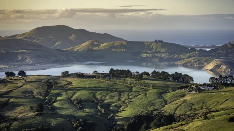 Plongée dans la disparition de Zealandia, le continent perdu
