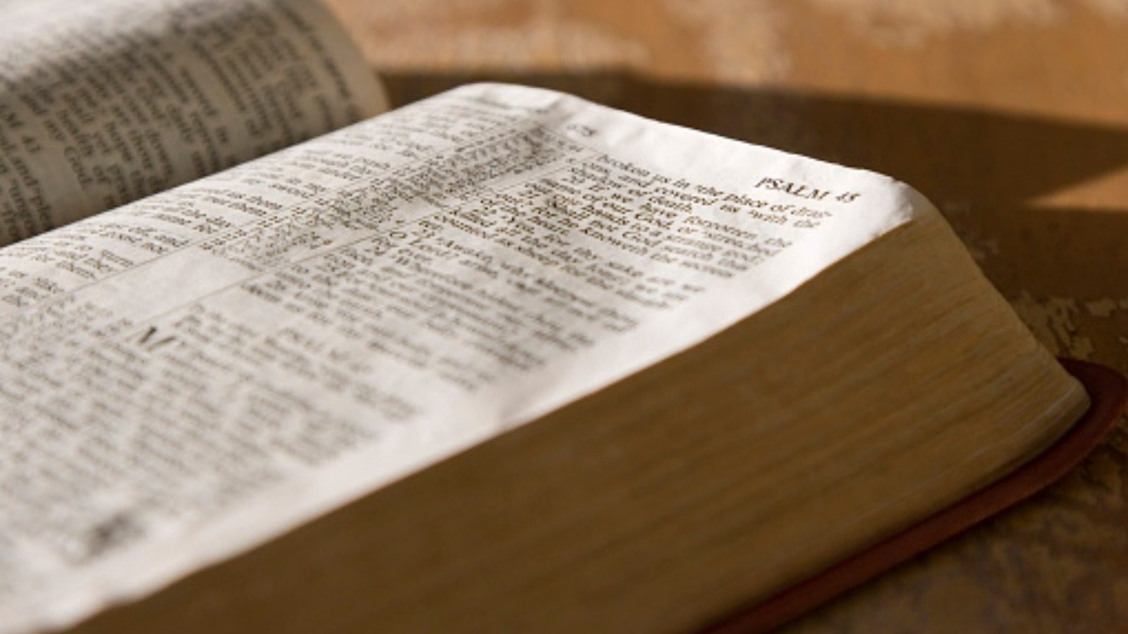 Pourquoi Reste-t-il Peu de Bibles Maudites Aujourd'hui