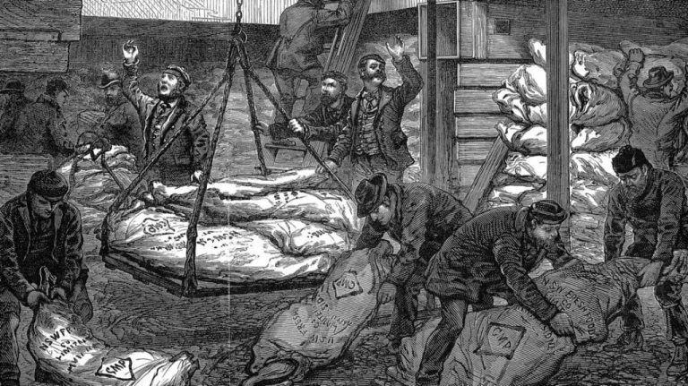 Pourquoi les Réfrigérateurs étaient Dangereux à l&rsquo;Ère Édouardienne