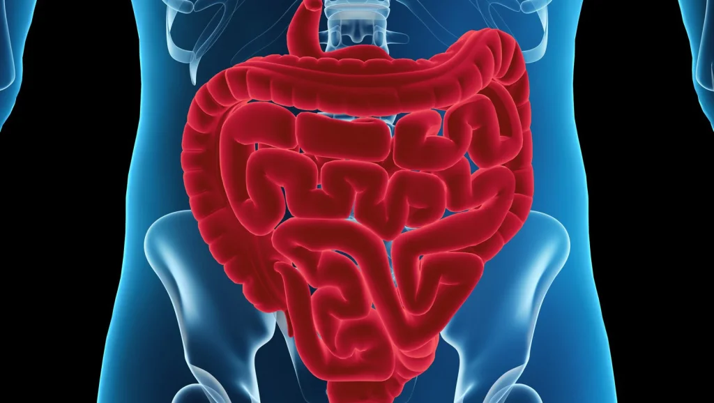 Pourquoi les morts urinent et défèquent Explications scientifiques