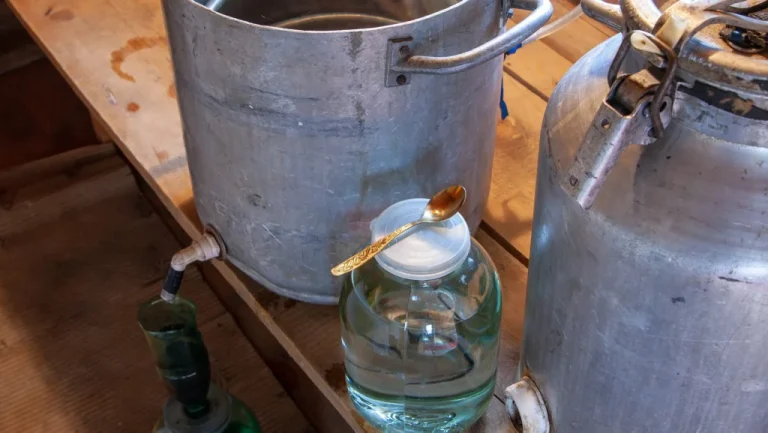 Que sont devenus les anciens de Moonshiners Découverte