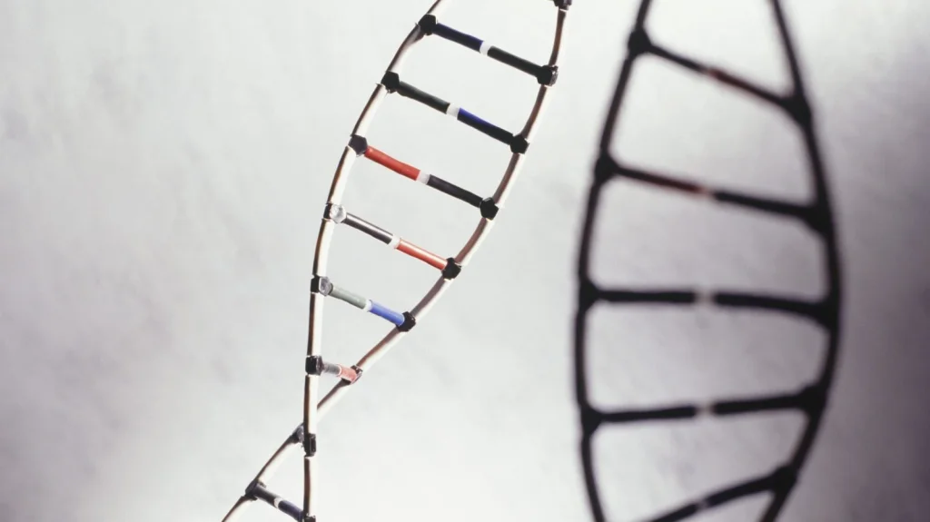 Retrouvailles mère-fils 20 ans après enlèvement grâce ADN