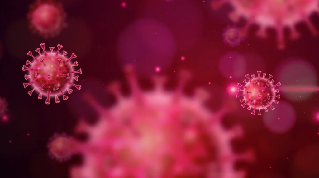 Virovore l'organisme qui se nourrit de virus pour survivre