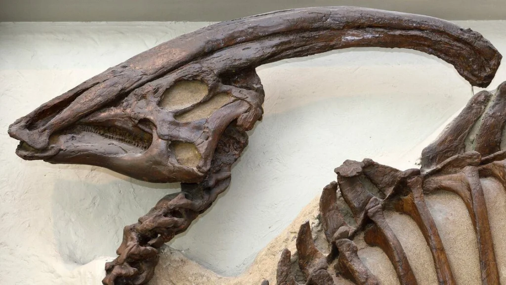 Caractéristiques Uniques d'Animaux Disparus Décryptées