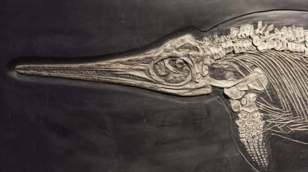 Compréhension accrue du charnier d'Ichthyosaures dans le Nevada