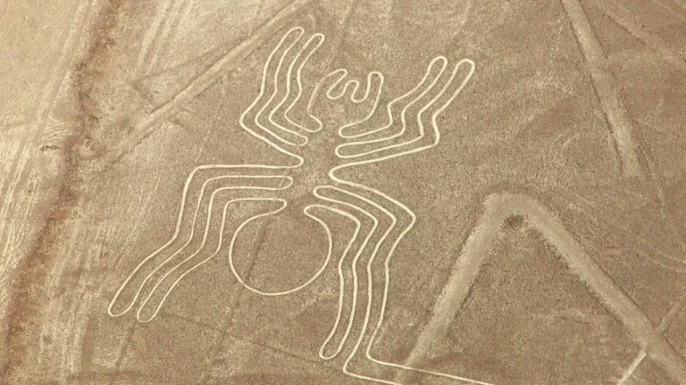 Découverte de 168 nouvelles lignes de Nazca au Pérou : l&rsquo;histoire s&rsquo;étend