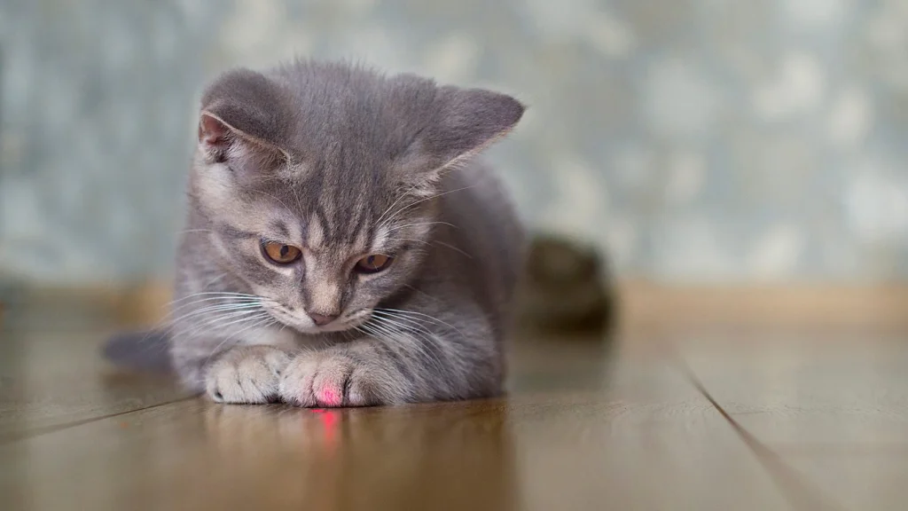 L'Invention du Pointeur Laser et son Histoire Méconnue
