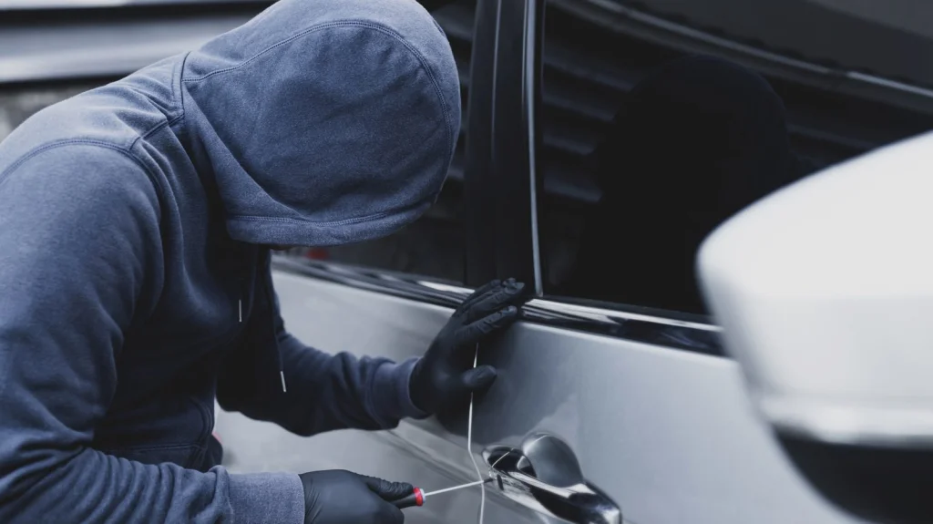 Le Mystère des Têtes Humaines Volées dans une Boîte