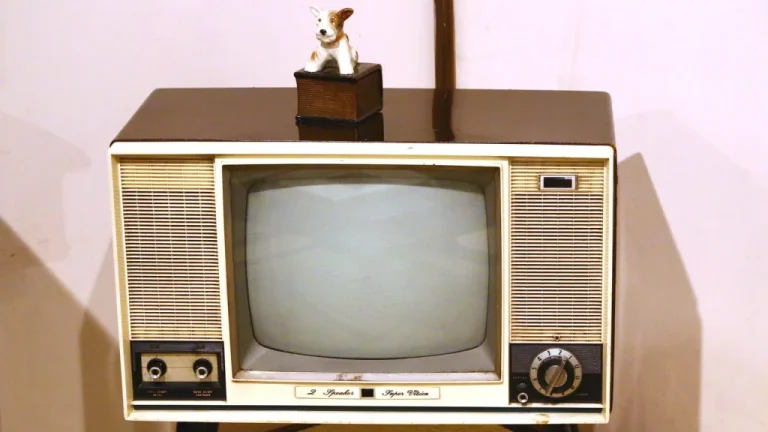 Le revers sombre des stars TV des années 1950, dévoilé