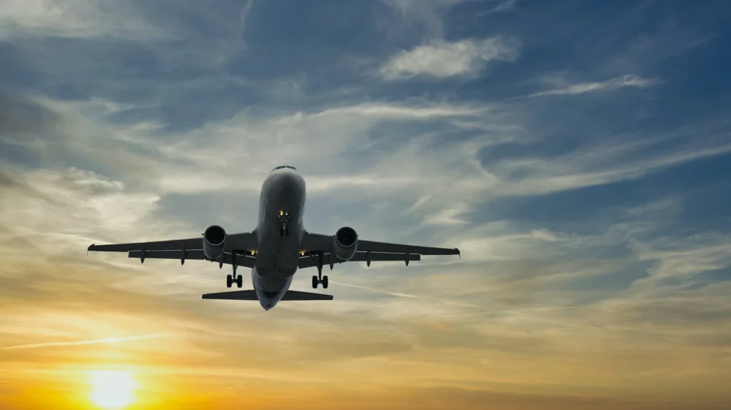 Le sort des bagages après un crash d'avion - Science en détail