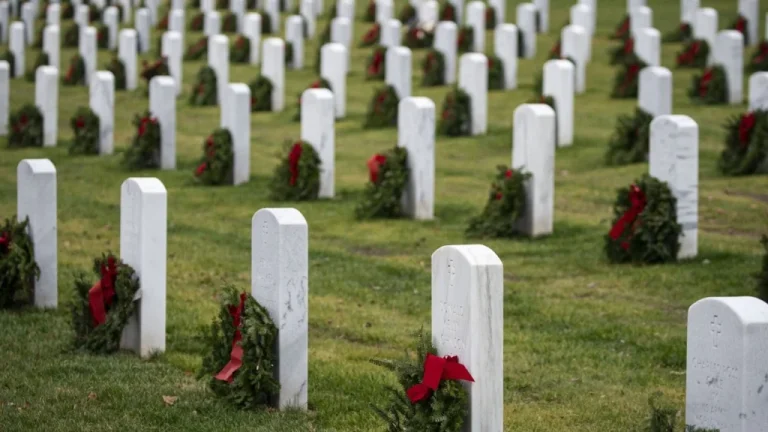 Les Deux Seuls Présidents Enterrés au Cimetière d&rsquo;Arlington