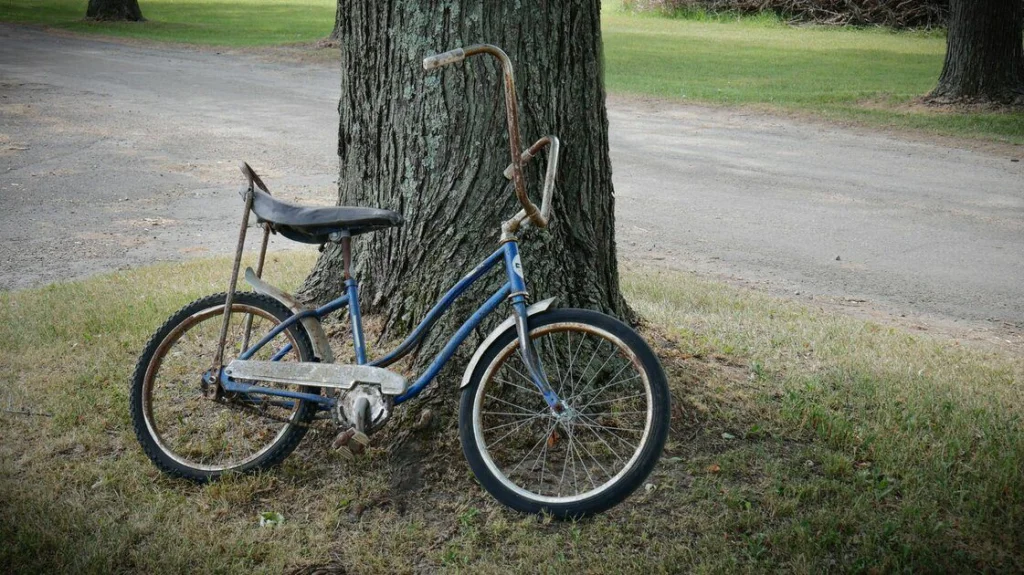 Plongée dans l'enlèvement de Janice Pockett en 1973