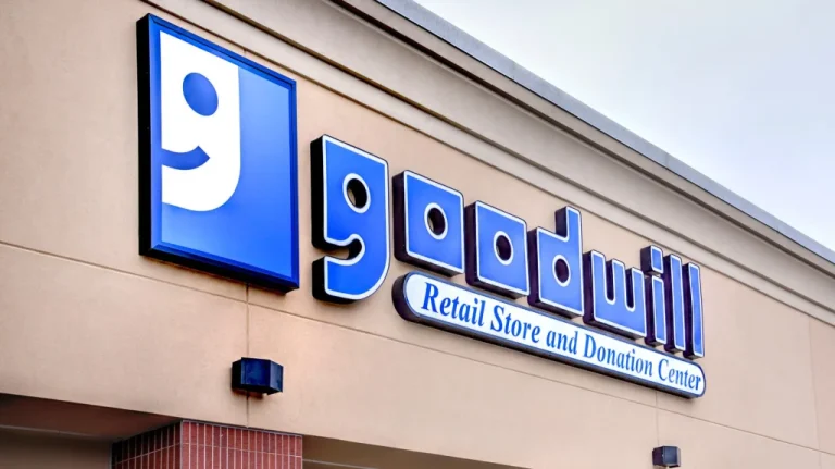 Tableaux Précieux Trouvés chez Goodwill: Histoire Insolite