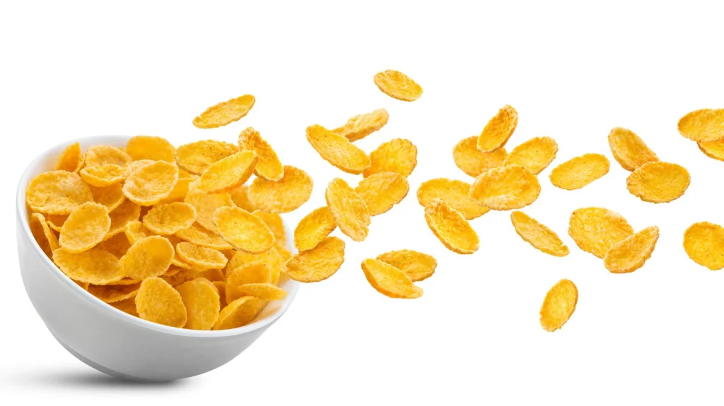 Un Corn Flake en forme de Illinois vendu à 1350 dollars sur eBay