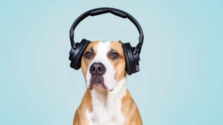 Comment fonctionnent les casques à réduction de bruit