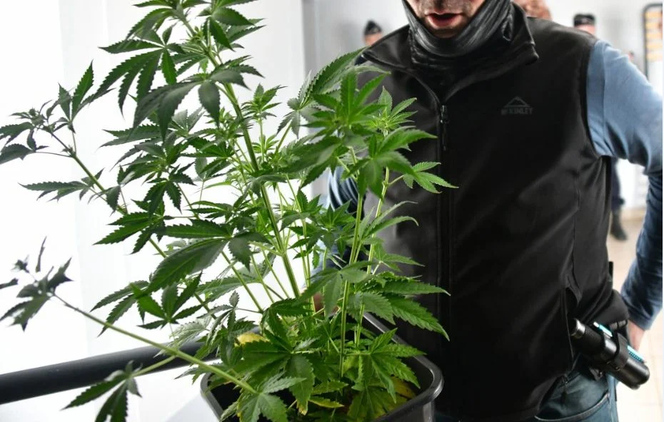 Dealer de drogue à Lyon condamné à 30 mois de prison ferme