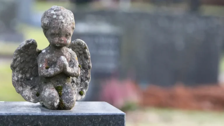 Identification 58 ans après la mort mystérieuse d&rsquo;un enfant de 2 ans