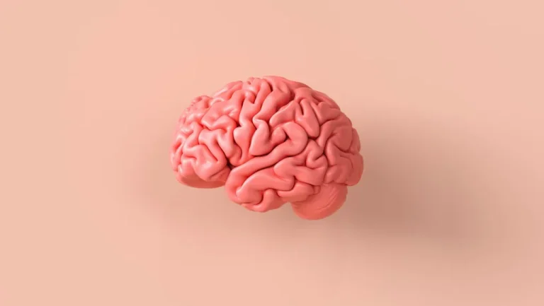 L&rsquo;Univers et le Cerveau Humain Une Ressemblance Étonnante