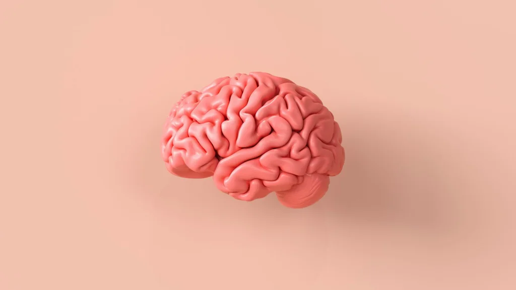 L'Univers et le Cerveau Humain Une Ressemblance Étonnante